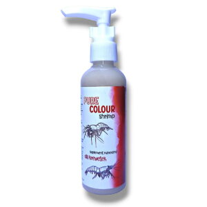 DIM Pure Colour Shrimp
